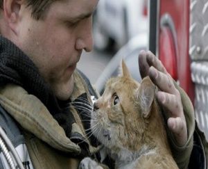 Московские пожарные спасли кота от отравления 